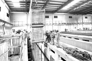 當現代工程邂逅歷史回響 福建最大污水處理廠的膜處理提升與文物保護設計